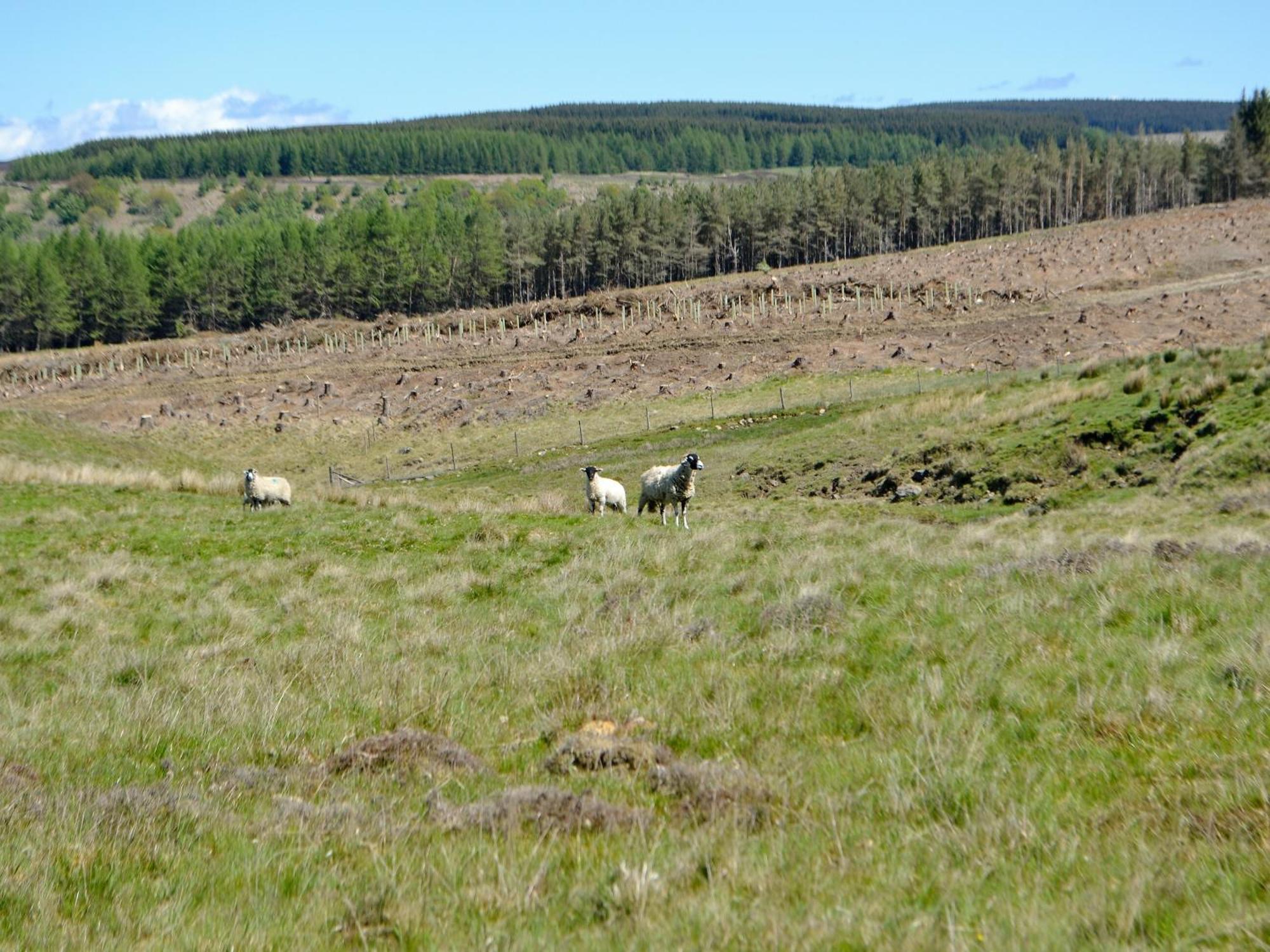 Elsdon Spindle Well Barnヴィラ エクステリア 写真