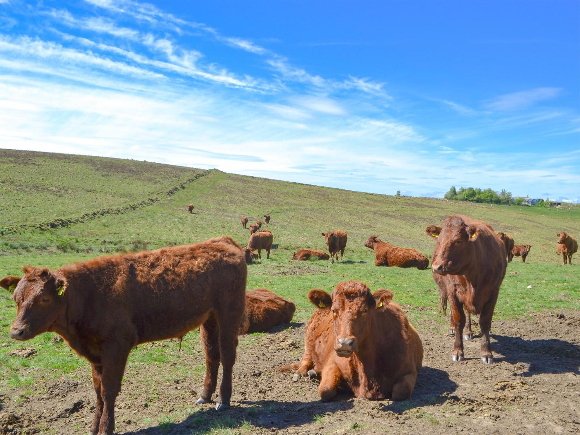 Elsdon Spindle Well Barnヴィラ エクステリア 写真